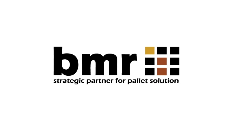 PT Bumi Mandiri Resources