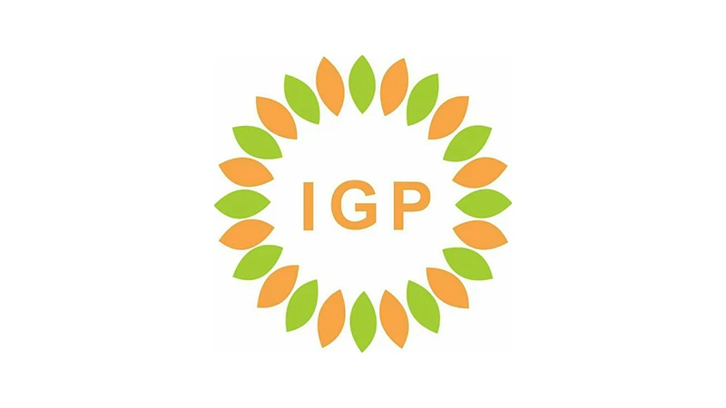 PT IGP Internasional